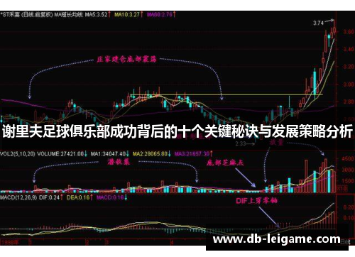 谢里夫足球俱乐部成功背后的十个关键秘诀与发展策略分析