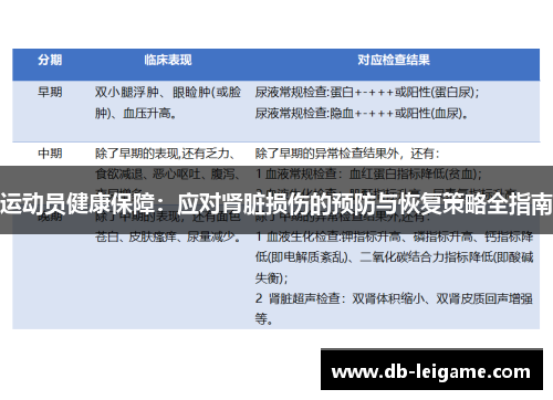运动员健康保障：应对肾脏损伤的预防与恢复策略全指南